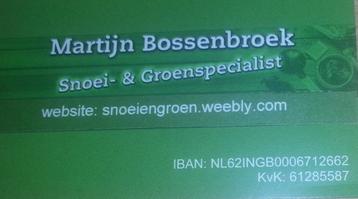 martijn.bossenbroek tuinonderhoud en bomen snoeien  beschikbaar voor biedingen