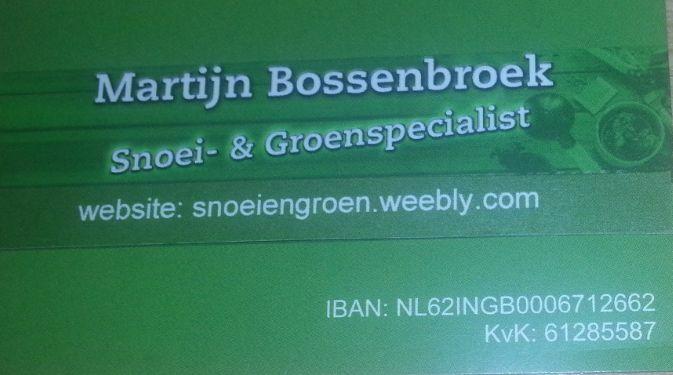 martijn.bossenbroek tuinonderhoud en bomen snoeien, Diensten en Vakmensen, Tuinmannen en Stratenmakers, Tuinonderhoud of Snoeiwerk