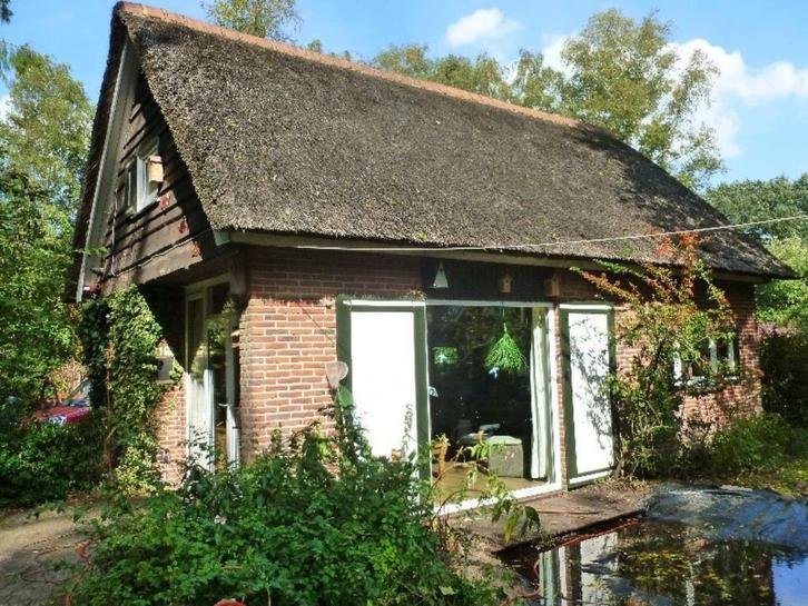 vakantiewoning / natuurhuisje Gasselte, Vakantie, Vakantiehuizen | Nederland, Drenthe, Landelijk, In bos, 1 slaapkamer, Eigenaar