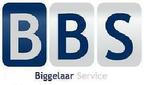 Biggelaar service, Diensten en Vakmensen, Auto en Motor | Monteurs en Garages