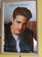 Brandon walsh 90210 schilderij met spiegel
