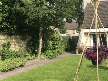Tuinman, hovenier beschikbaar voor biedingen