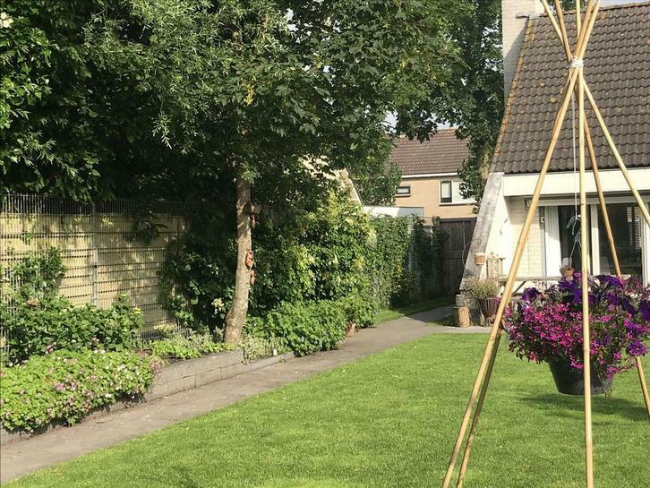 Tuinman, hovenier, Diensten en Vakmensen, Tuinmannen en Stratenmakers, Tuinontwerp