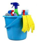 Schoonmaakster, Diensten en Vakmensen, Schoonmakers en Glazenwassers, Schoonmaken woning