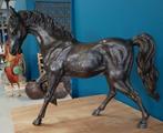 Bronzen beeld van een paard