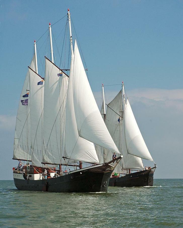 Zeilen op het IJsselmeer, Diensten en Vakmensen, Verhuur | Boten, Party- of Rondvaartboot, Zeilboot of Zeiljacht, Met catering