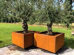 Cortenstalen bloembakken (op voorraad), Ophalen of Verzenden, Metaal, Tuin