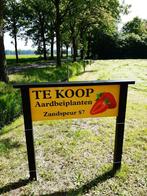 AARDBEIEN PLANTEN, Tuin en Terras, Planten | Tuinplanten, Volle zon, Vaste plant, Ophalen of Verzenden, Zomer