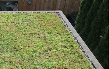 Sedum, sedummatten, direct een groen dak! Per m2 €25,21 beschikbaar voor biedingen