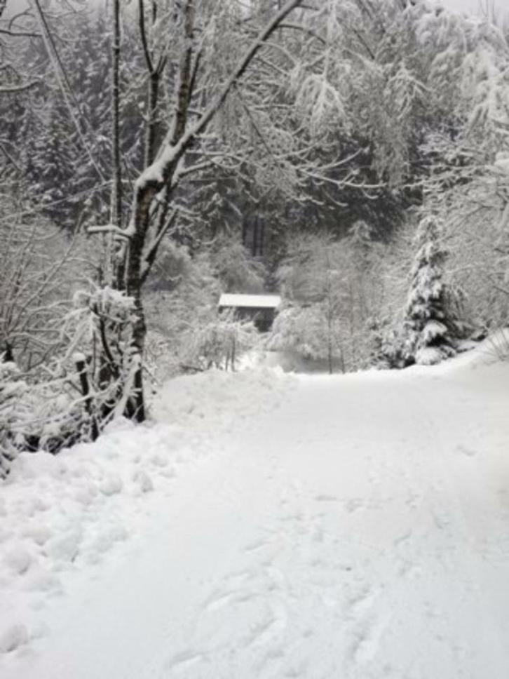 Luxe 4 p. huis met SAUNA Hond welkom! 28-11 t/m 21-12 PLEK!, Vakantie, Vakantiehuizen | Duitsland, Sauerland, Overige typen, Landelijk