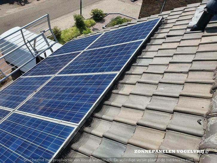 Vogelwering Zonnepanelen ( Inclusief Montage), Doe-het-zelf en Verbouw, Zonnepanelen en Toebehoren, Nieuw, Overige typen, 200 wattpiek of meer