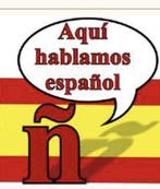 Privé-Spaanse lessen/ Bijles Spaans/OnlinePrivé-Spaanse les