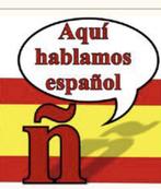 Privé-Spaanse lessen/ Bijles Spaans/OnlinePrivé-Spaanse les, Diensten en Vakmensen, Bijles, Privé-les en Taalles, Privéles, Bijles