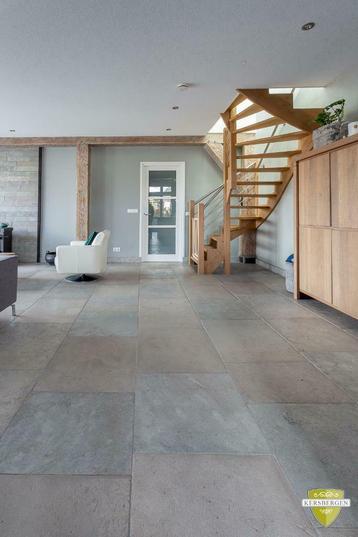 Bourgondische Dallen | Dhoughi Mix | Verschillende maten beschikbaar voor biedingen