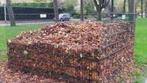 Grote Bladkorf Compost verzamelbak 251x251cm voor € 125,00