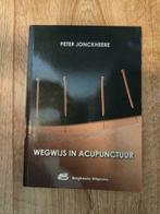 Wegwijs in acupuntuur