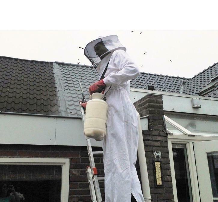 Wiekens Wespenbestrijding en Ongediertebestrijding, Diensten en Vakmensen, Ongediertebestrijding, Insecten of Spinnen, Muizen of Ratten