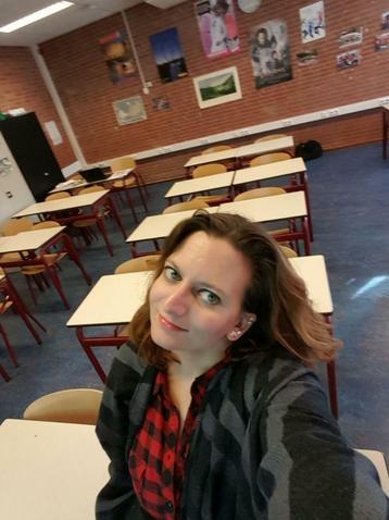 Examentraining/Bijles/taalles Engels beschikbaar voor biedingen