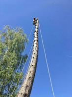 Goedkoop Bomen Snoeien en Kappen dmv Klimtechniek, grondwerk