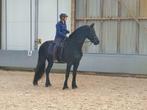 Instructie met aandacht voor jou en paard, Centered riding,, Paardrijles of Ponykampen