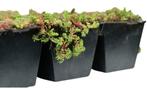 Groen dak maken? Sedum bestel online, Thuisbezorgd!, Overige materialen, Overige kleuren, Overige typen, Nieuw