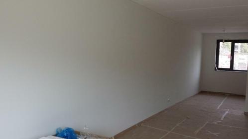 Glas en Renovlies specialist, Diensten en Vakmensen, Schilders en Behangers, Behangen, Binnenschilderwerk, Buitenschilderwerk