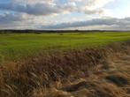 1000 ha. akkerbouw grond in Letland., Koop