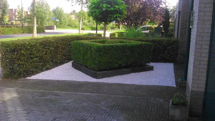 Tuinman onderhoud snoeien bestraten hekwerken, Diensten en Vakmensen, Tuinmannen en Stratenmakers, Tuinonderhoud of Snoeiwerk