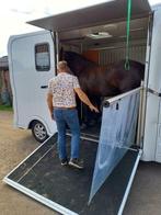 Paardentransport op maat!, Diensten en Vakmensen, Dieren | Paarden | Verzorging, Oppas en Les