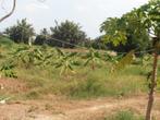 landbouwgrond/bouwgrond Thailand 20 Rai/3,2 HA CHaam/Hua Hin, Overige bestemmingen, 1 tot 5 ha, Ophalen of Verzenden