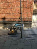 Op aanvraag, Bestrating