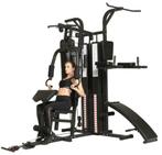 Dione Fitness HG5 Krachtstation Homegym inclusief bokszak, Sport en Fitness, Volleybal, Nieuw, Ophalen of Verzenden