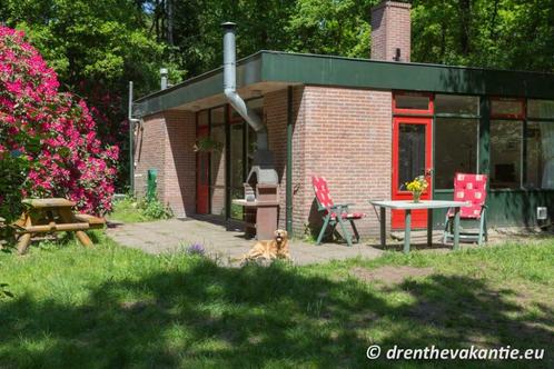 Vakantiehuis Dr-Fr Wold, grote tuin omheind, honden welkom, Vakantie, Vakantiehuizen | Nederland, Drenthe, Landelijk, In bos, 2 slaapkamers