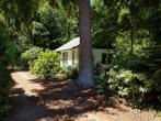 Gezellig zomerhuisje met veel privacy in bosrijk Ommen, In bos, Tuin, 2 slaapkamers, Overijssel