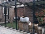 katten ren, buitenverblijf voor in de tuin of het balkon, Ophalen of Verzenden, Nieuw