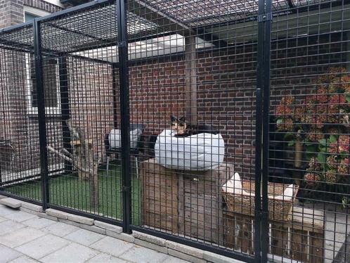 katten ren, buitenverblijf voor in de tuin of het balkon, Dieren en Toebehoren, Katten-accessoires, Nieuw, Ophalen of Verzenden