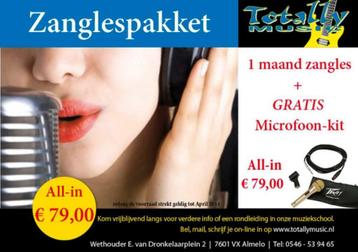 Zangles Piano Keyboardles Drumles Gitaarles in Almelo beschikbaar voor biedingen