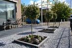 Van den Hout Bestratingen, Garantie, Tuinontwerp