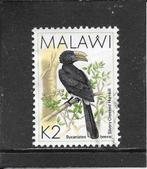 Malawi vogels (2)