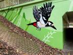 Graffiti muren, graffiti workshops Joep van Gassel, Komt aan huis, Overige kunsten
