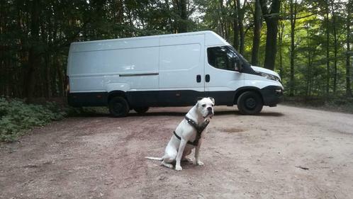 VB Transport Varsseveld, Diensten en Vakmensen, Koeriers, Chauffeurs en Taxi's, Chauffeursdiensten, Groepsvervoer, Koeriersdiensten