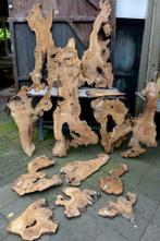 Diverse olijf hout boomstam planken