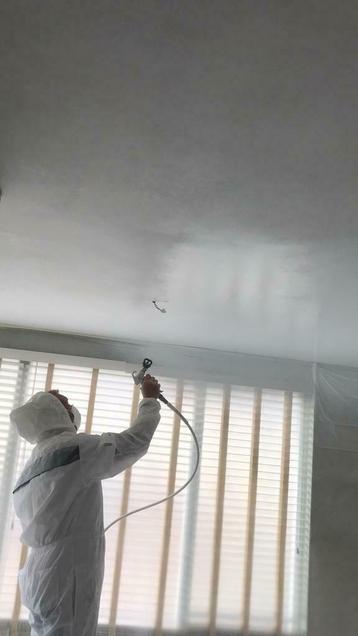 Airless Latex Spuiten  Wanden en Plafonds Den Haag en Omg. beschikbaar voor biedingen
