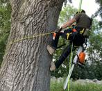 Professioneel bomen vellen / kappen / afbreken / stormhout, Diensten en Vakmensen, Tuinmannen en Stratenmakers, Tuinonderhoud of Snoeiwerk