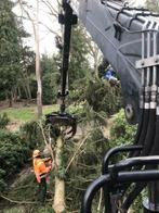 Goedkoop Bomenrooien snoeien versnipperen bos onderhoud, Tuinonderhoud of Snoeiwerk