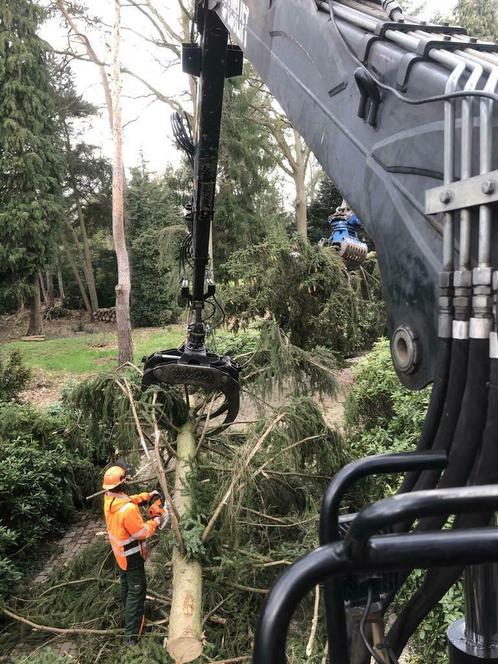 Goedkoop Bomenrooien snoeien versnipperen bos onderhoud, Diensten en Vakmensen, Tuinmannen en Stratenmakers, Tuinonderhoud of Snoeiwerk