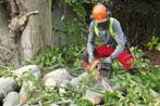 Boom kappen rooien bomen stronken frezen omzagen snoeien, Garantie, Tuinontwerp