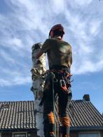 Professionele Boomverzorging, Diensten en Vakmensen, Tuinmannen en Stratenmakers, Tuinonderhoud of Snoeiwerk