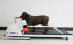 Hondenloopband loopband voor hond, Dieren en Toebehoren, Honden-accessoires, Ophalen, Nieuw