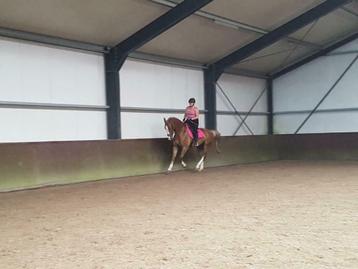 Paardrij instructrice recreatief/sport  beschikbaar voor biedingen